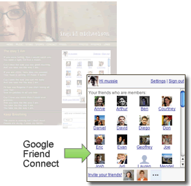 Google friend connect social networking
