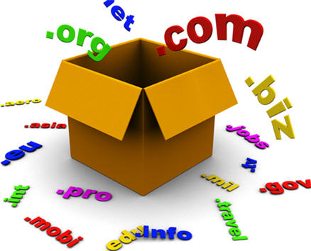 domain name  search